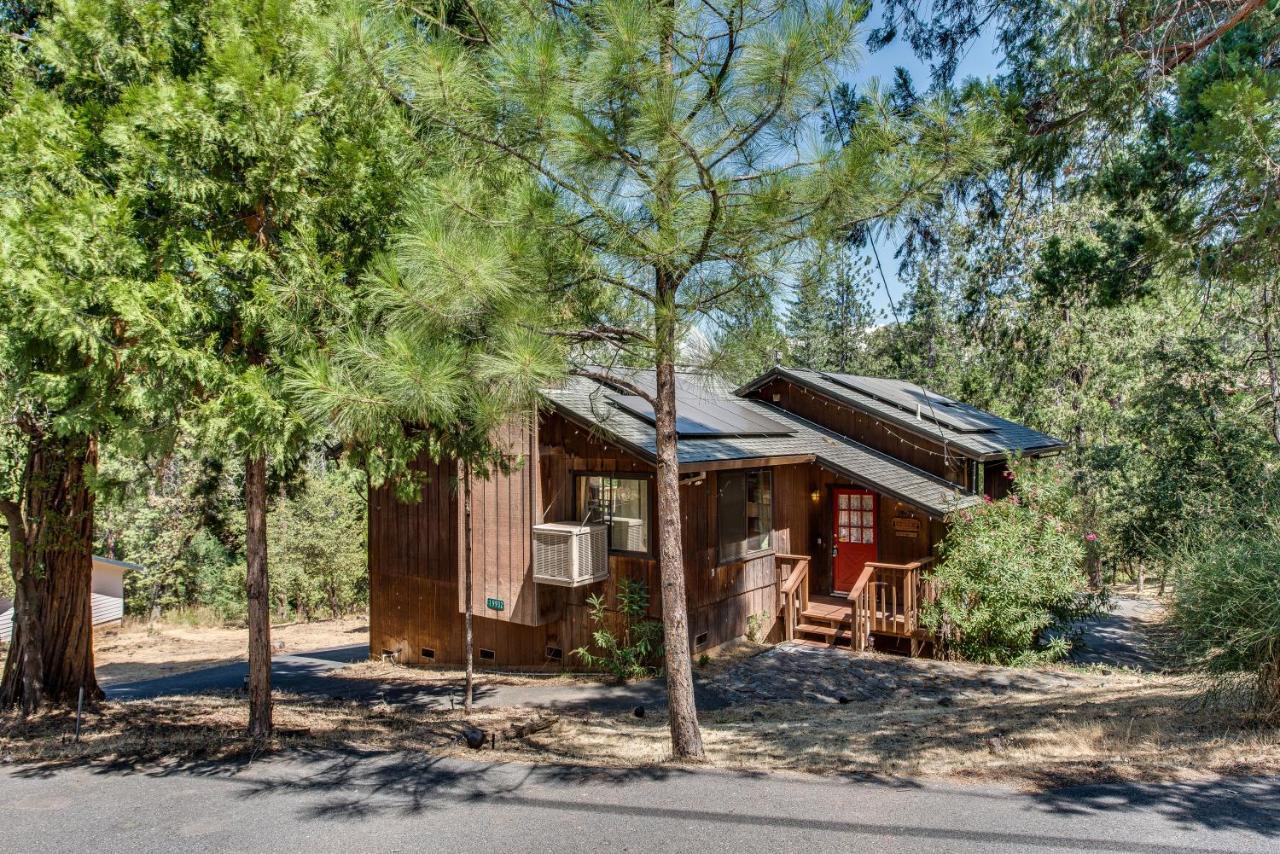 Pet Friendly Grizzly Blair Lodge Cabin Groveland Exterior photo